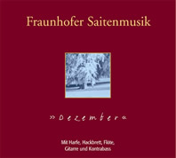 Fraunhofer Saitenmusik